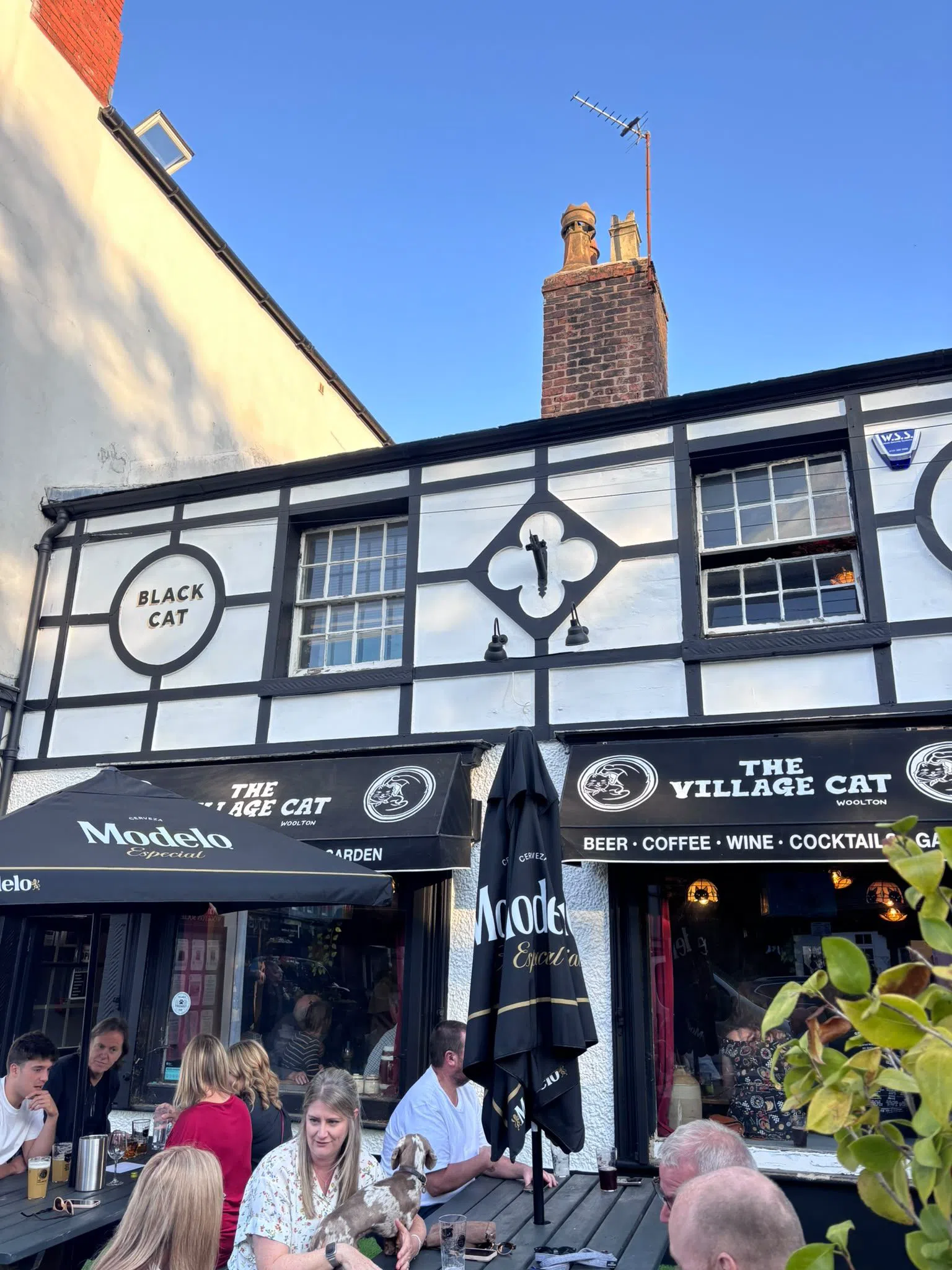 Village Cat, Liverpool